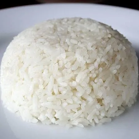 Nasi Biasa